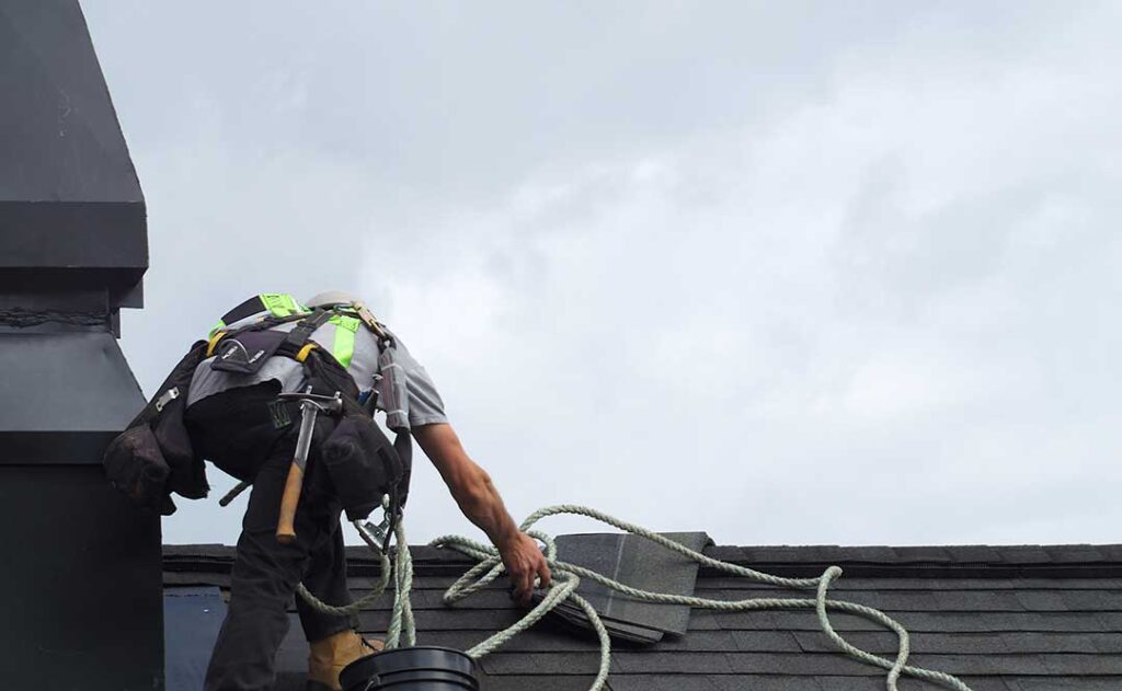 A homeowner uses a soft roof rake to clear leaves from a single-story roof beside a ladder.